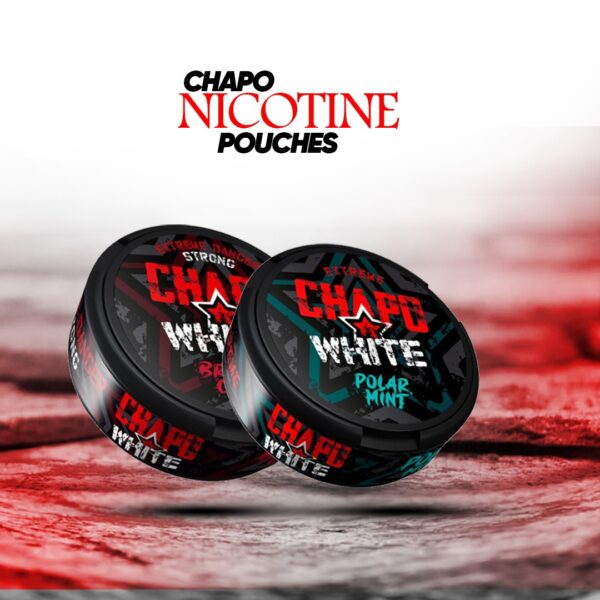 Exploring Chapo White Nicotine Pouches: A Smokeless Alternative